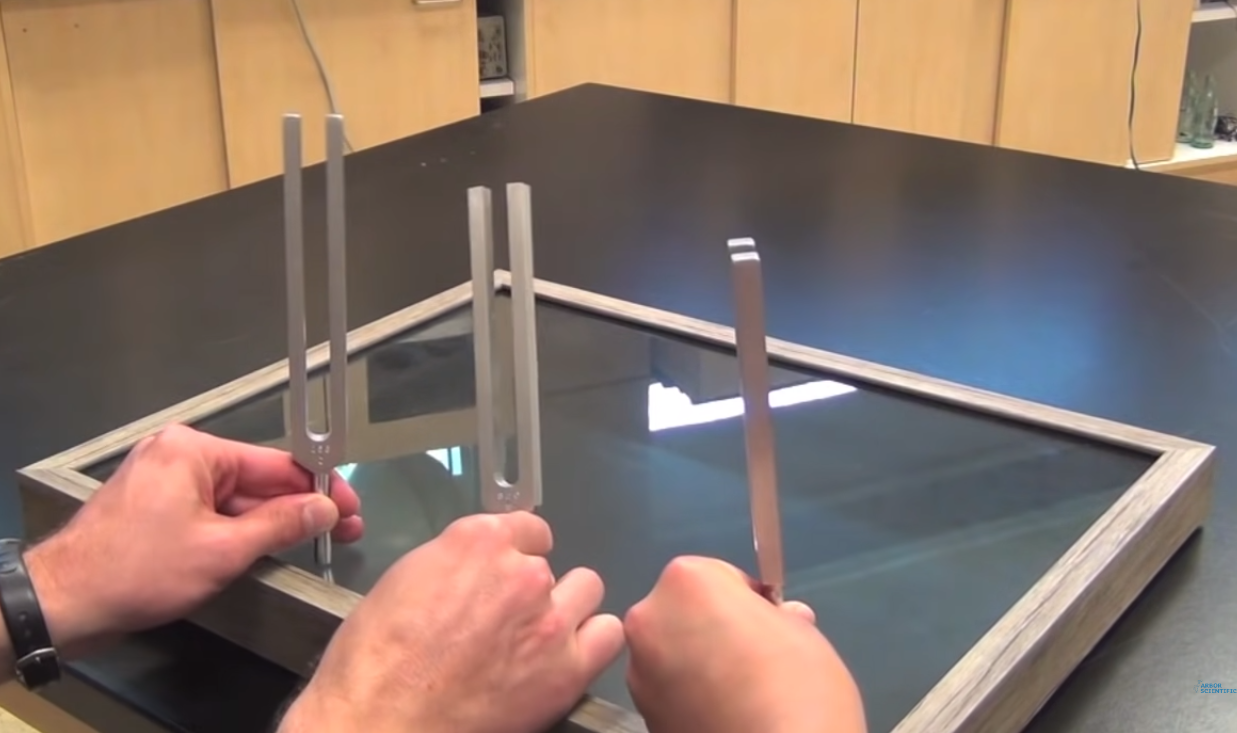 Tuning fork fun: Vibrating chord